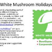 White Mushroom Holidays Pvt Ltd White Mushroom Holidays Pvt Ltd